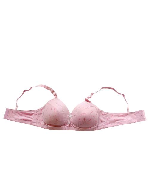 Pink Nylon Full Coverage C Cup Bra, Plain at best price in Tronica City