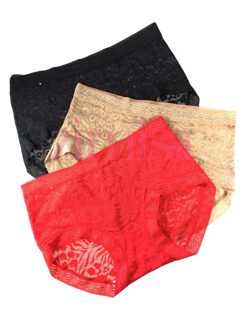 Vresqi Womens Lace Underwear Bikini Panties Lingerie Nepal