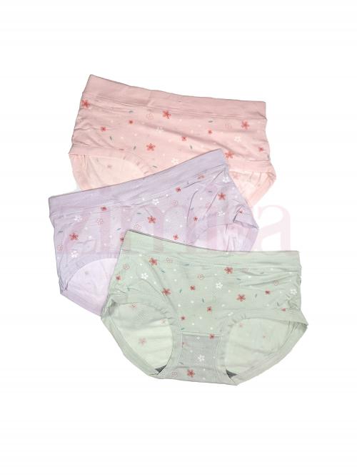 Pack of 3 Floral Printed Perforated Panty