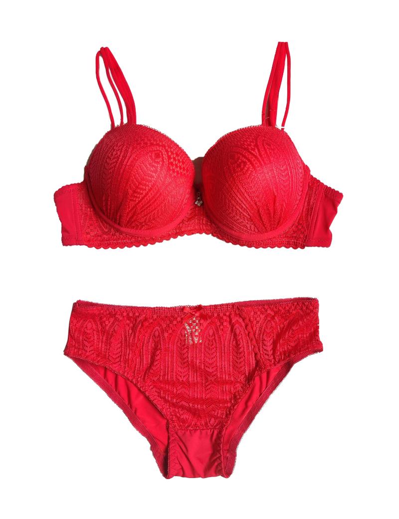 Zimisa, Red Lace Design Bra and Panty Set