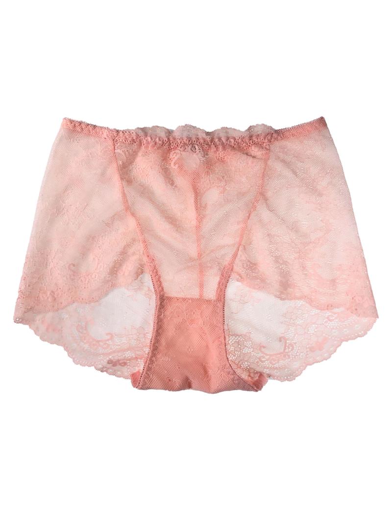 HSIA Mid-Rise Delicate Lace Sheer Underwear, Breathable and Comfortable